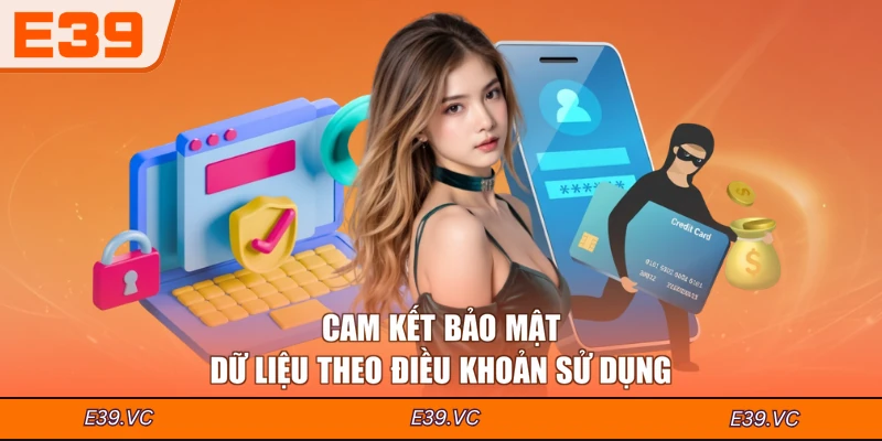 Cam kết bảo mật dữ liệu theo điều khoản sử dụng